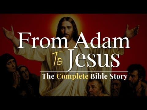 The Complete Bible Story From Adam To Jesus
