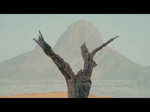 Meditation 7