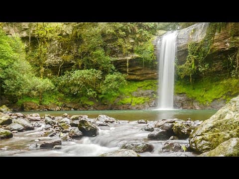 3 Hours of Worship Guitar with Flowing River Scenery