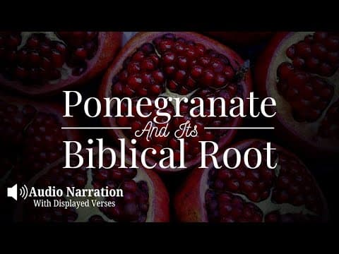Pomegranate: The Hidden Fruit of the Bible