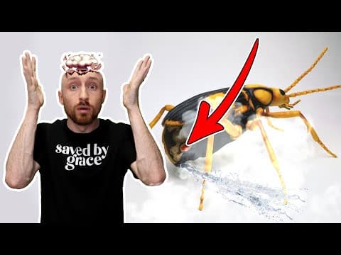 Animals that Defy Evolution 🤯 Viral TikTok Compilation