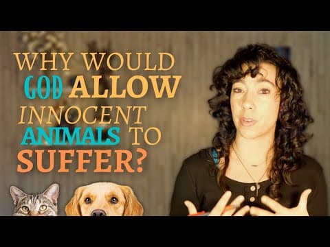 Baptism for Salvation, Christians and the Occult, and Too High Standards for a Spouse|Q&A Part 5