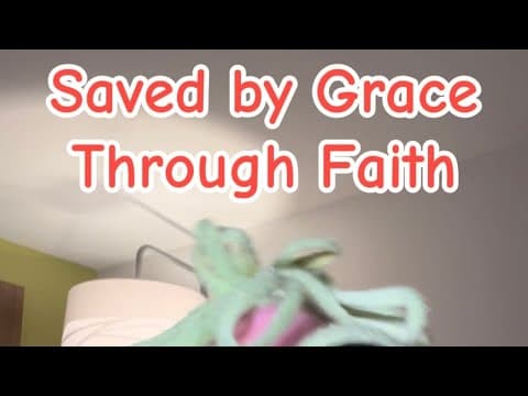 Saved by Grace Through Faith 