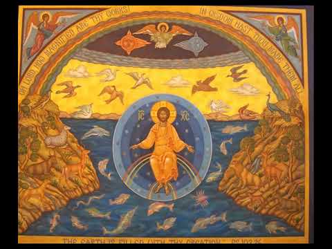 THE MYTH OF EVOLUTION