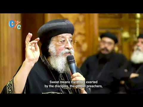 Tales of the Planted Tree (2:3:7 SM) | H.H. Pope Tawadros II | Weekly Sermon #copticcchurch #cyc