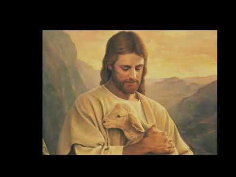 Biblical sleep sounds for relaxation. @R3alism_official 