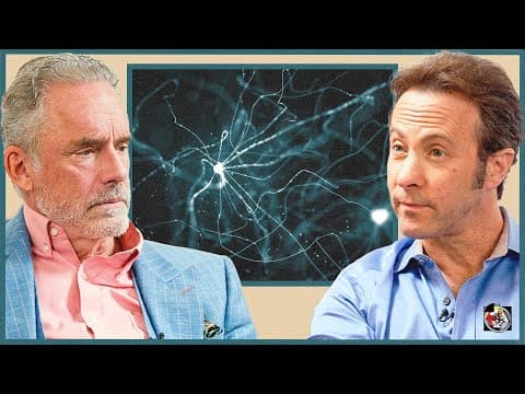 How Your Brain Decides Between Conflicting Actions | Dr. David Eagleman