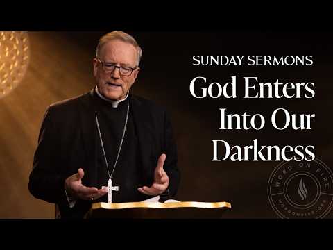 God Enters Into Our Darkness - Bishop Barron's Sunday Sermons