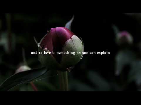 Jimmy Clifton & Haddon - I'll Always Love You (Official Lyric Video)