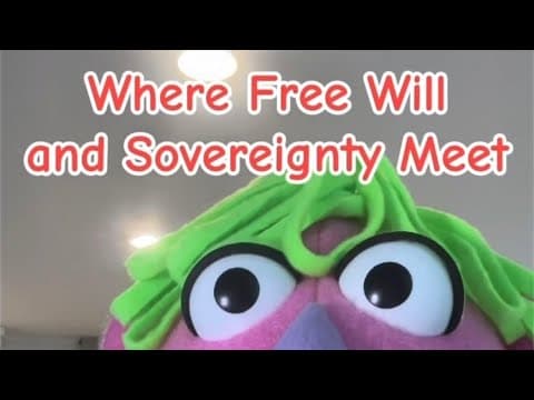 Where Free Will and Sovereignty Meet