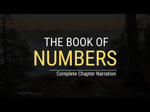 The Complete Journey Through the Book of Numbers | Chapter-by-Chapter Story Explained Simply